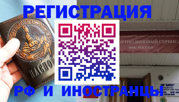 прописка поиск в Ельне